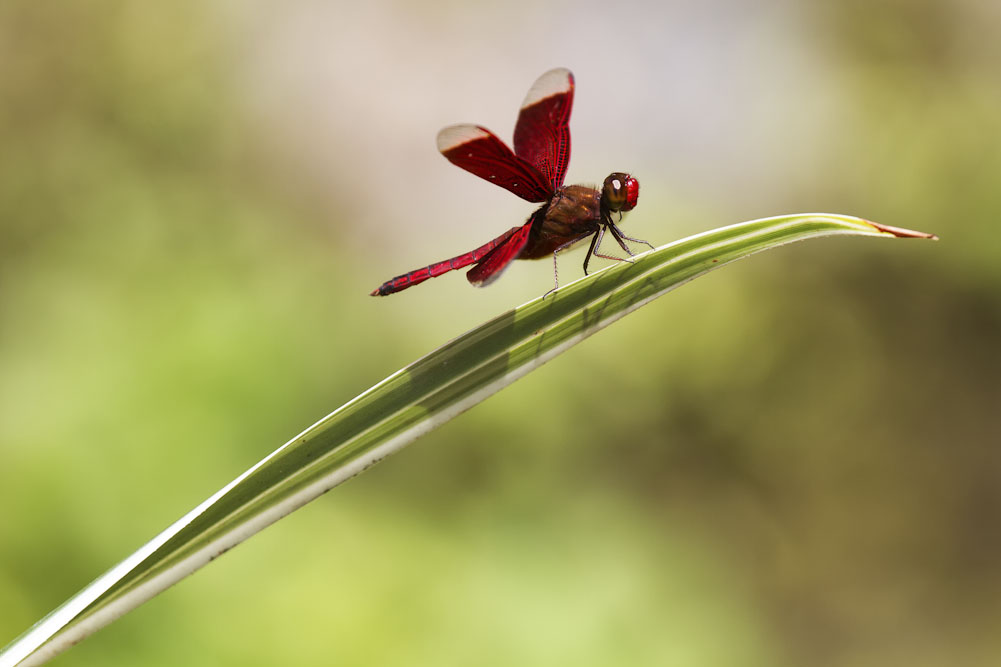 11. Platz Stefan Klughammer
